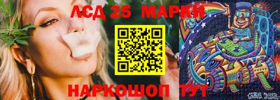 скорость Кингисепп