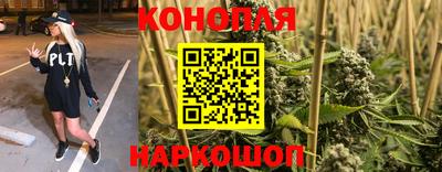 мяу мяу мука Кинель