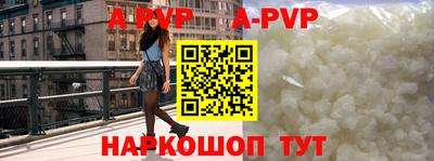 скорость Кингисепп